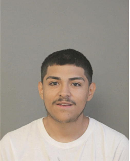 LEONARDO PICHARDO, Cook County, Illinois