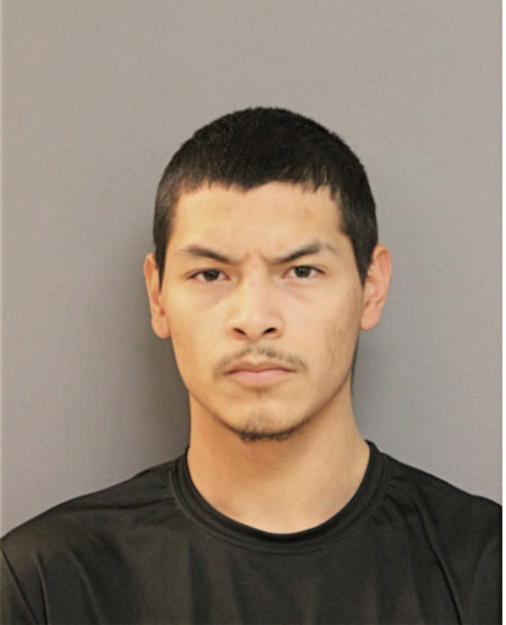 ADRIAN A RIVAS, Cook County, Illinois