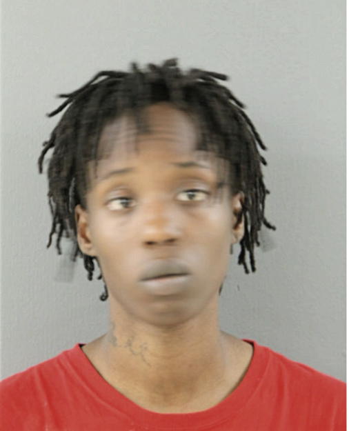 BRENDA L RUSSELL, Cook County, Illinois