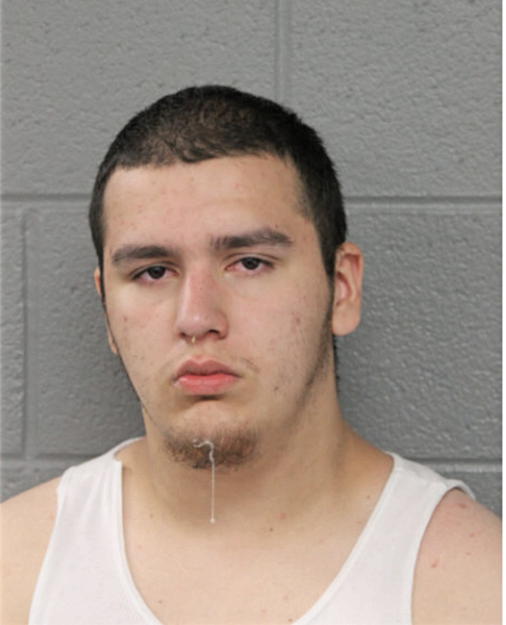 EDUARDO M VEGA, Cook County, Illinois