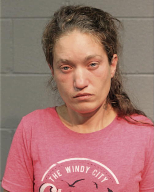 LISA A WAGNER, Cook County, Illinois