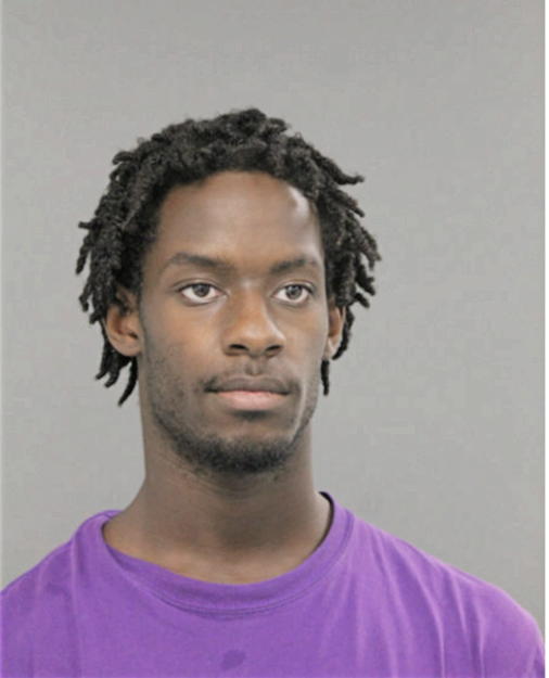 PATRICK J WILSON, Cook County, Illinois