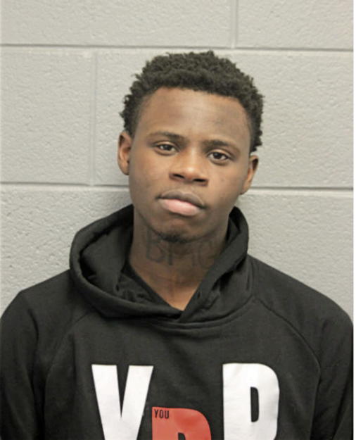 ROBERT A WOODS, Cook County, Illinois