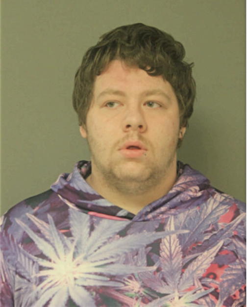 SHANE A DIEHL BREMER, Cook County, Illinois
