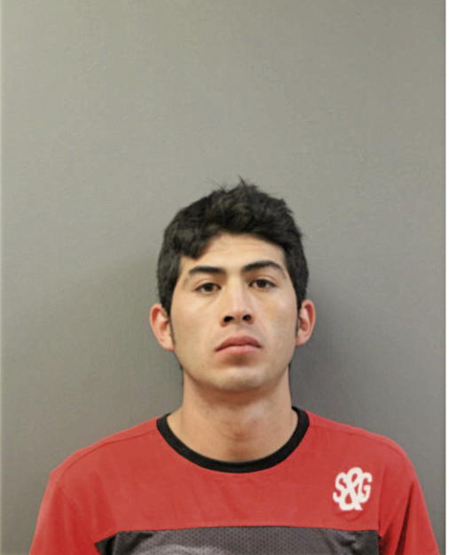 HELEONORO ALMAZAN, Cook County, Illinois