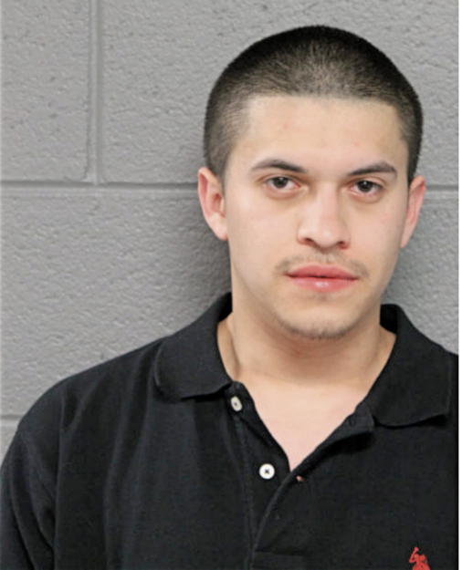 ALEX ANDRADE, Cook County, Illinois