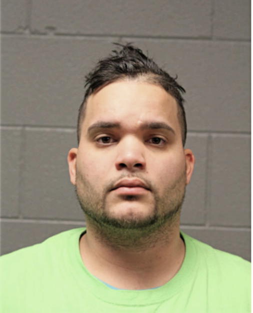 ELVIN D AROCHO, Cook County, Illinois