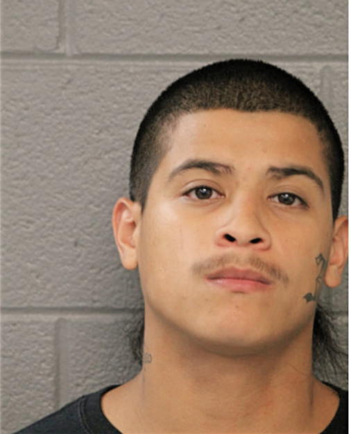 CHRISTIAN GUERRERO, Cook County, Illinois