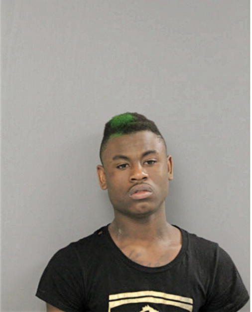 JOSEPH S HENDERSON, Cook County, Illinois