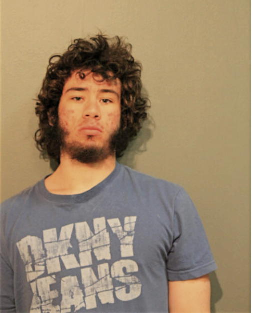 JACOB M HOFFMAN, Cook County, Illinois