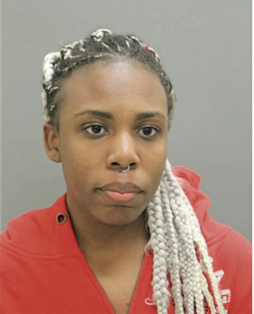 SARAH A LANGFORD, Cook County, Illinois