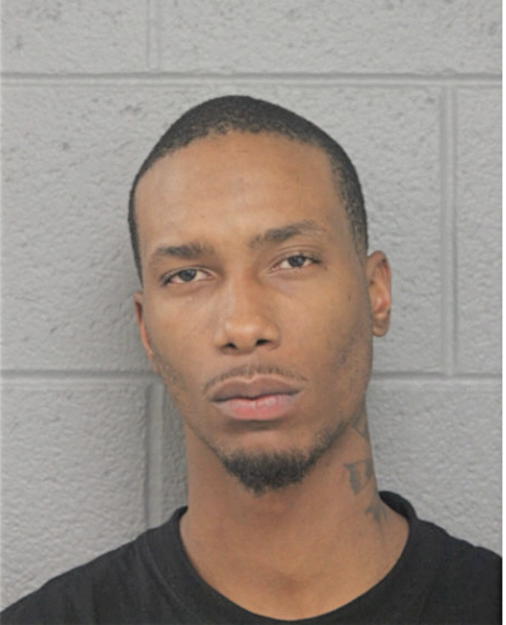 NIKESE D LEE, Cook County, Illinois