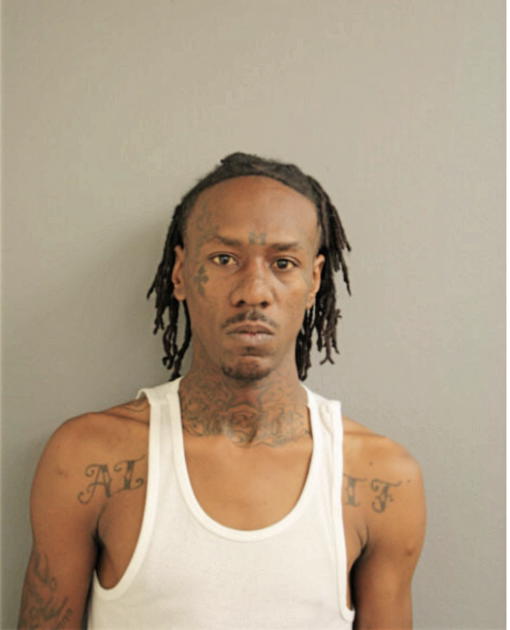 FLOYD D LEWIS, Cook County, Illinois