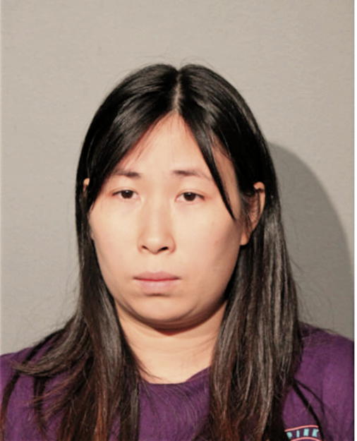 YANHONG LIANG, Cook County, Illinois