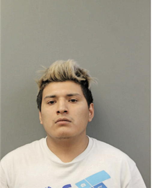 STEVE J LLAPA-FAJARDO, Cook County, Illinois