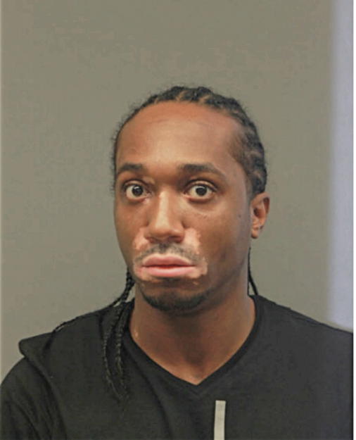 LARRY C LOMAN, Cook County, Illinois