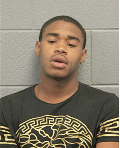 ROBERT J MILLER, Cook County, Illinois