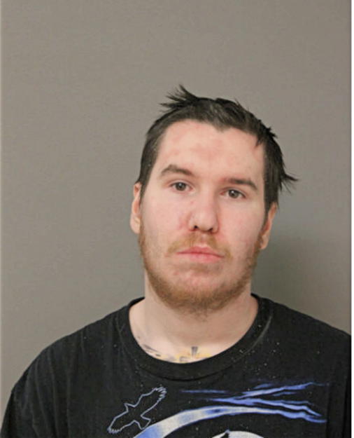 ALEXANDER T MURRAY, Cook County, Illinois