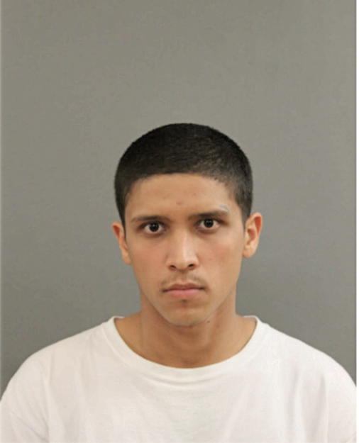 OSCAR OCAMPO, Cook County, Illinois