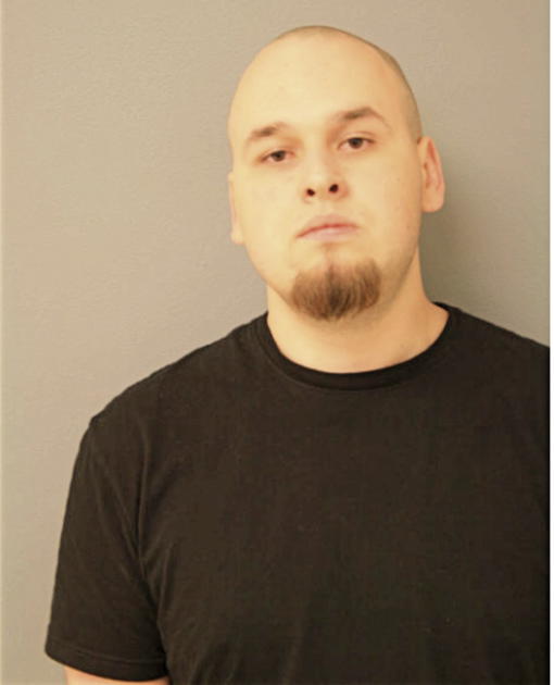 ARNAS PALINJANSKAS, Cook County, Illinois