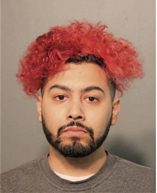 STEPHEN E PONCE, Cook County, Illinois
