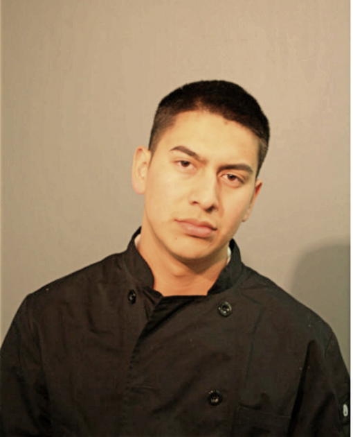 SALOMON RESENDIZ, Cook County, Illinois