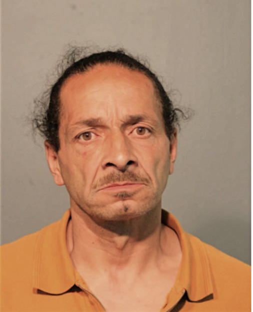 DEMICHEAL A SERINO, Cook County, Illinois
