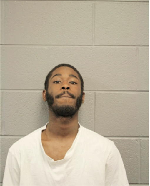 JONTEL M STEVENSON, Cook County, Illinois