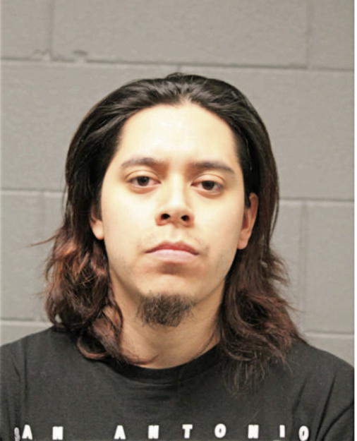 VICTOR M VIVEROS, Cook County, Illinois