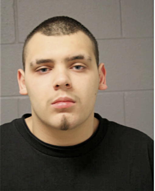 GINO ZEPEDA, Cook County, Illinois