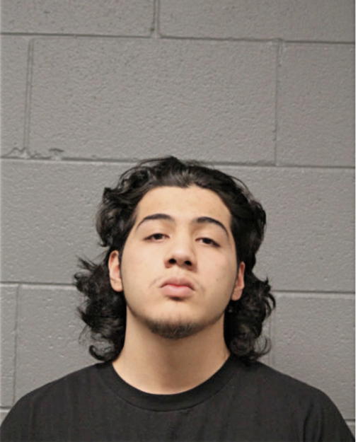 PEDRO ANZALDUA, Cook County, Illinois