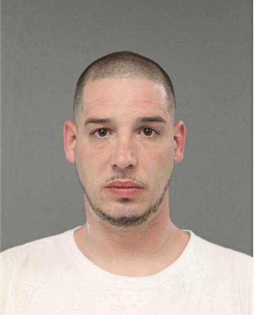 DANNY D BLAGOJEVIC, Cook County, Illinois