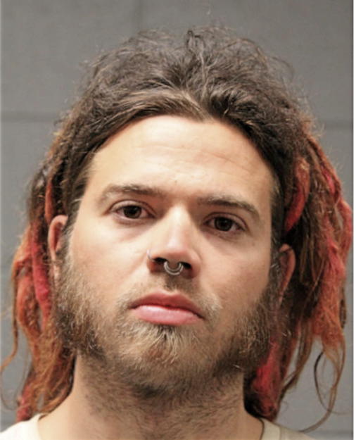 ZACHARY LL BLEWS, Cook County, Illinois