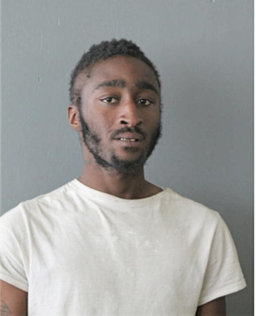 TERRENCE D BOWENS, Cook County, Illinois