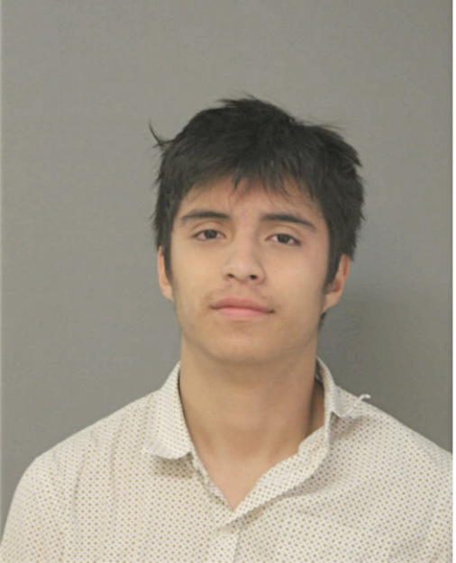 VICTOR H CHAMORRO, Cook County, Illinois