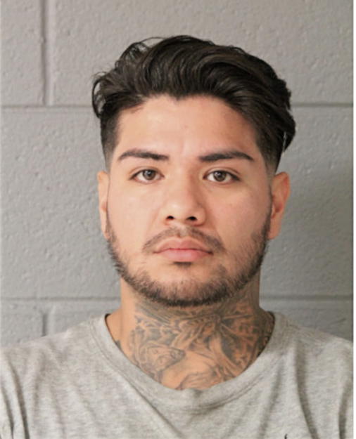 RAYMOND FLORES, Cook County, Illinois