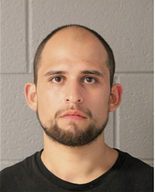 DAMIAN GONZALEZ, Cook County, Illinois