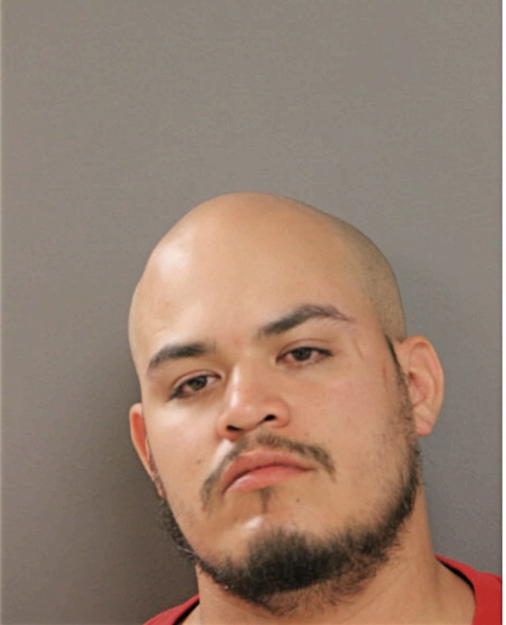 ANTHONY D HERNANDEZ, Cook County, Illinois