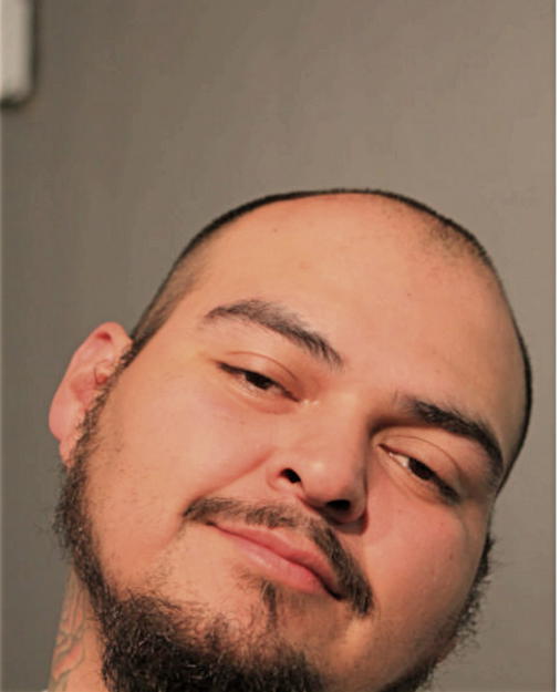 FRANCISCO VILLARREAL JR, Cook County, Illinois