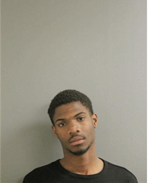 RAY C LEE, Cook County, Illinois