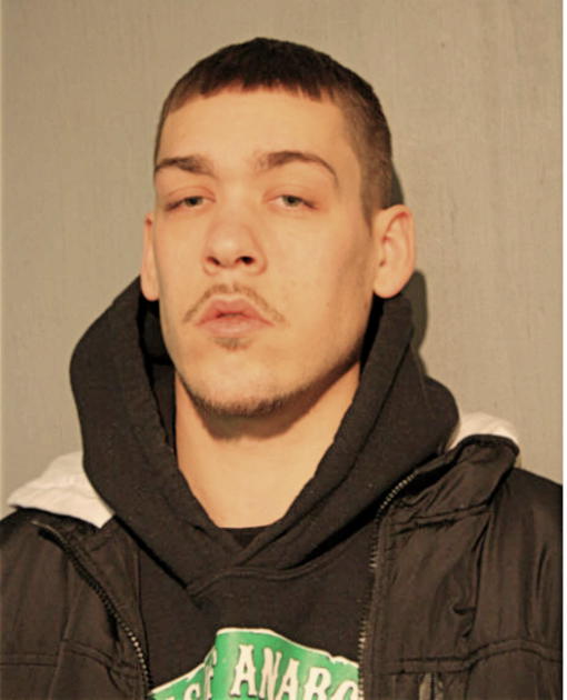ANDREW D LEETH, Cook County, Illinois
