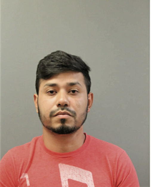 JEOVANNY DE LOS SANTOS, Cook County, Illinois