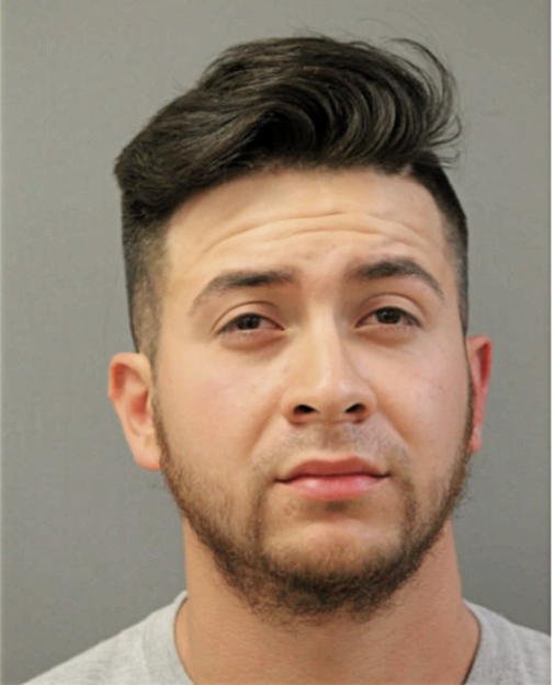 FRANK MALDONADO, Cook County, Illinois