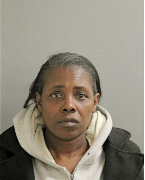LESLIE A MCBRIDE-AUSTIN, Cook County, Illinois