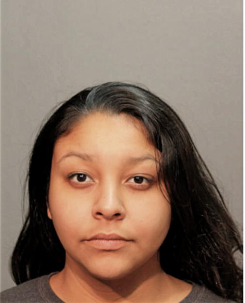 NATALIE C MENDEZ, Cook County, Illinois