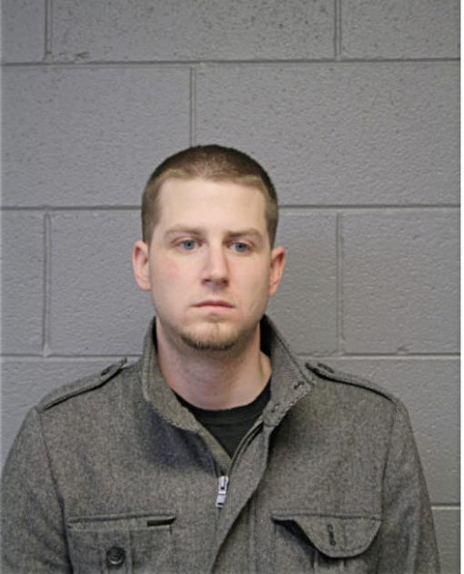 ROBERT G NEWBERG, Cook County, Illinois
