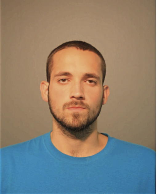 ANDREW J PAGE, Cook County, Illinois