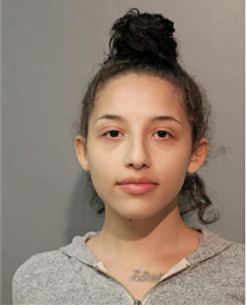 STEPHANIE B ROSALES, Cook County, Illinois