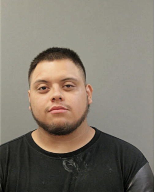 MICHAEL J SALGADO, Cook County, Illinois