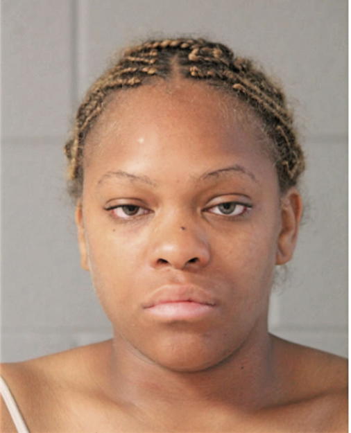 ROBYN L SMITH, Cook County, Illinois